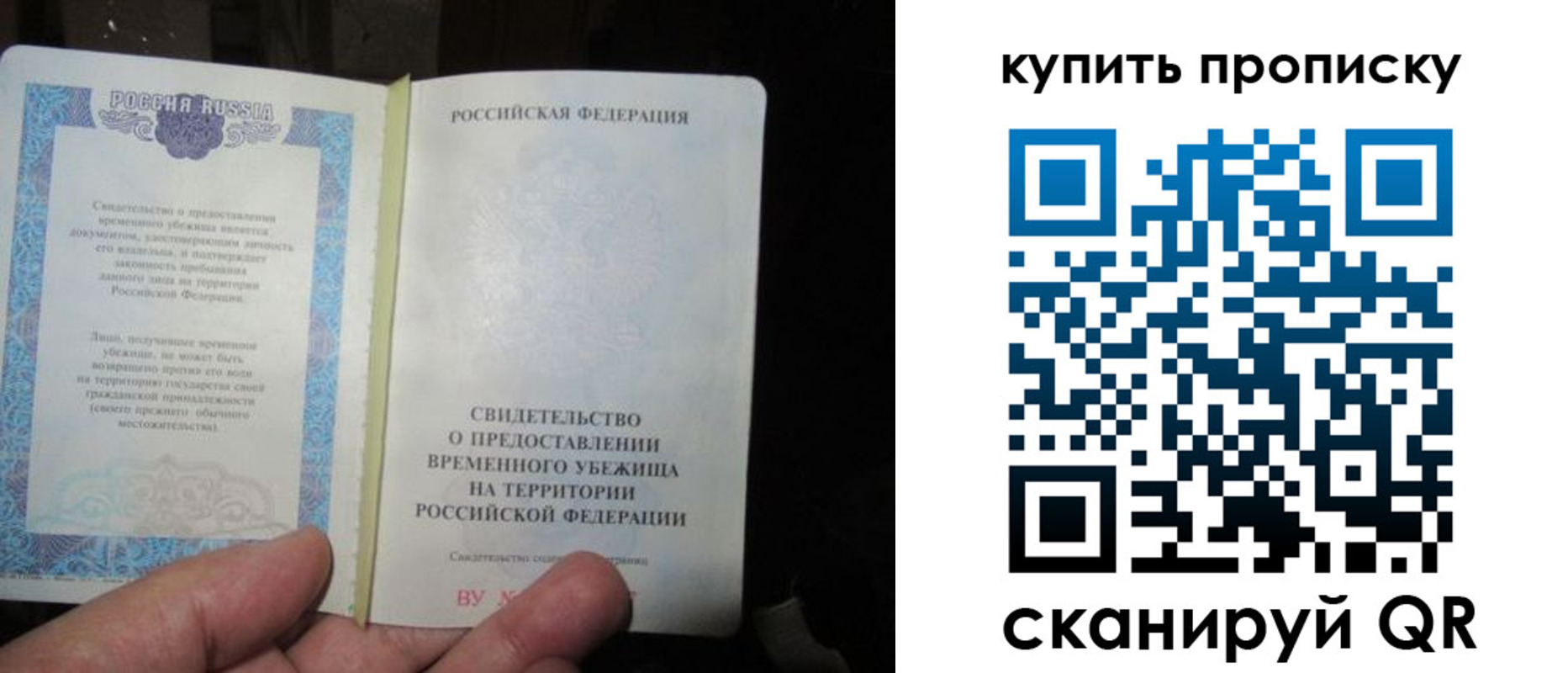 прописка 2025 в Владимире